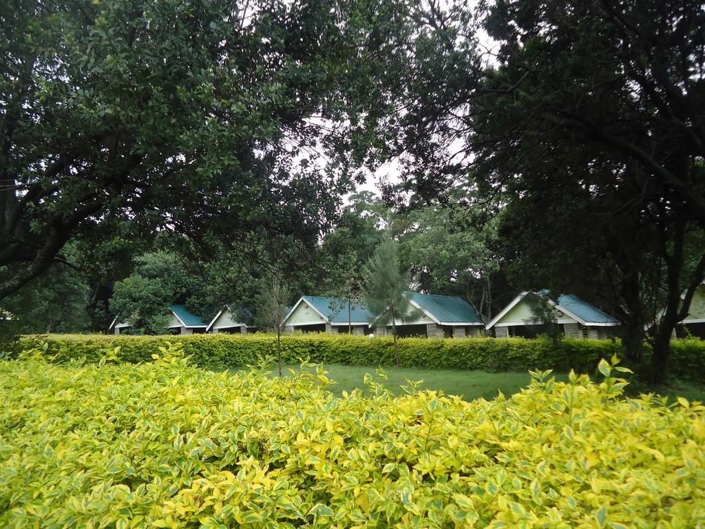 Rhino Tourist Camp Hotel Ololaimutiek Kültér fotó